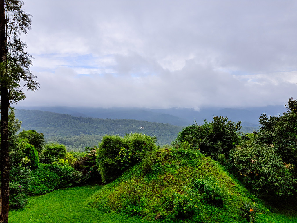 Image: Coffee estate In Chikmangaluru