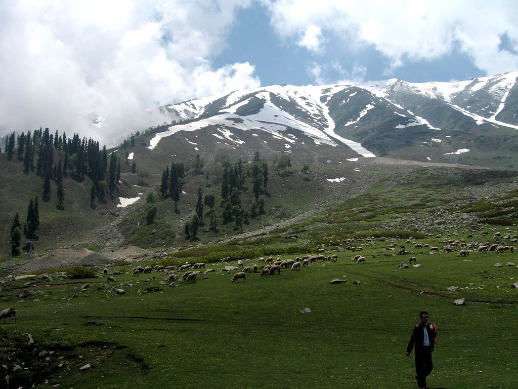 Image : Gulmarg