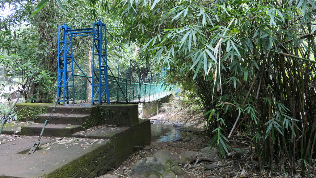 Image Bridge to Irupu Falls