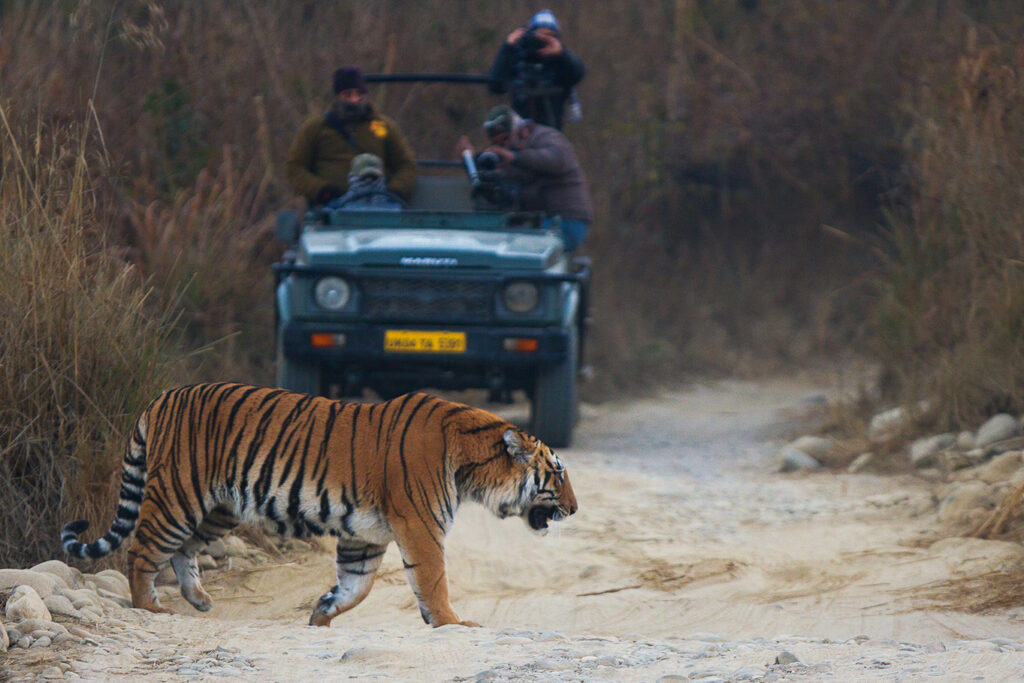 Best places to visit Image : Jim Corbett National Park