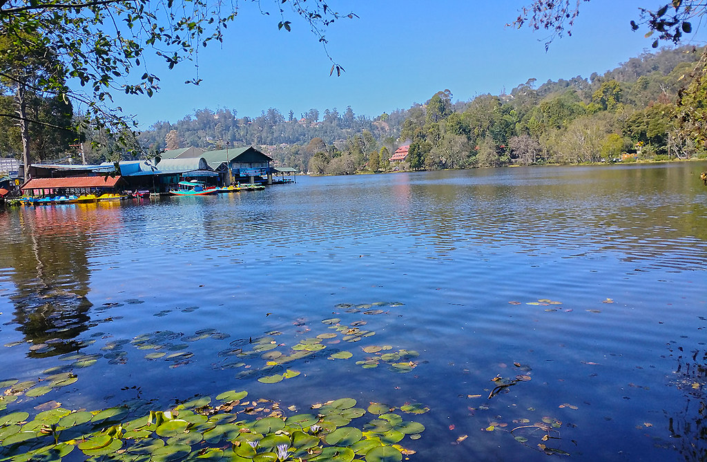 Image: Kodaikanal Lake