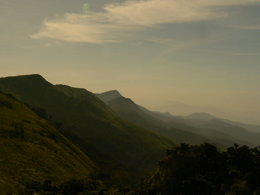 Image: Morning view in Tadiandamol