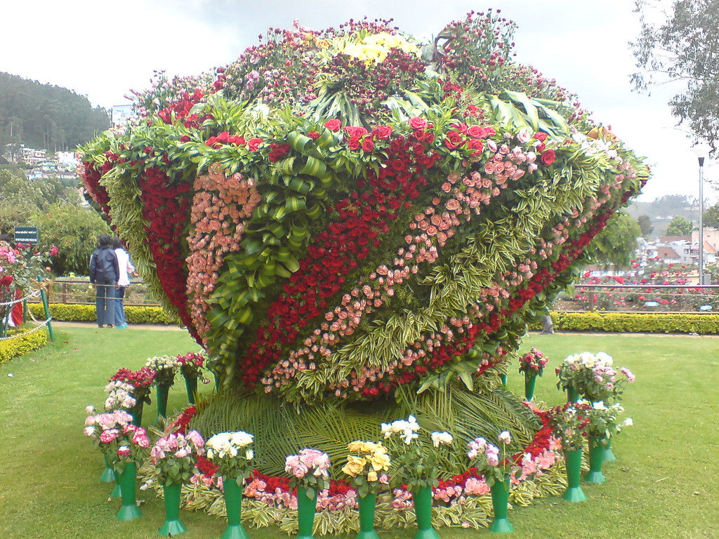 Image Rose Garden in Ooty