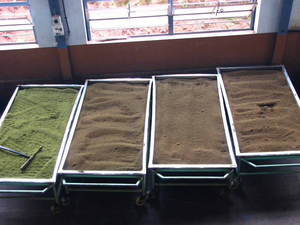 Image Tea Factory in Ooty
