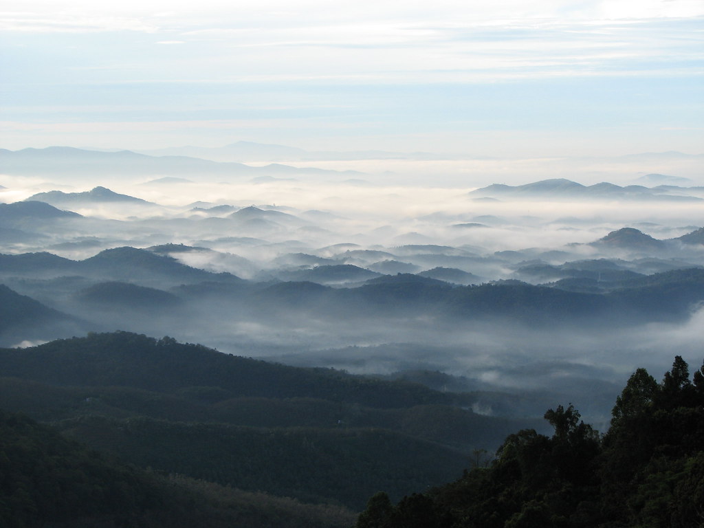 Image Wayanad Hill view Image: Wayanad Hill view