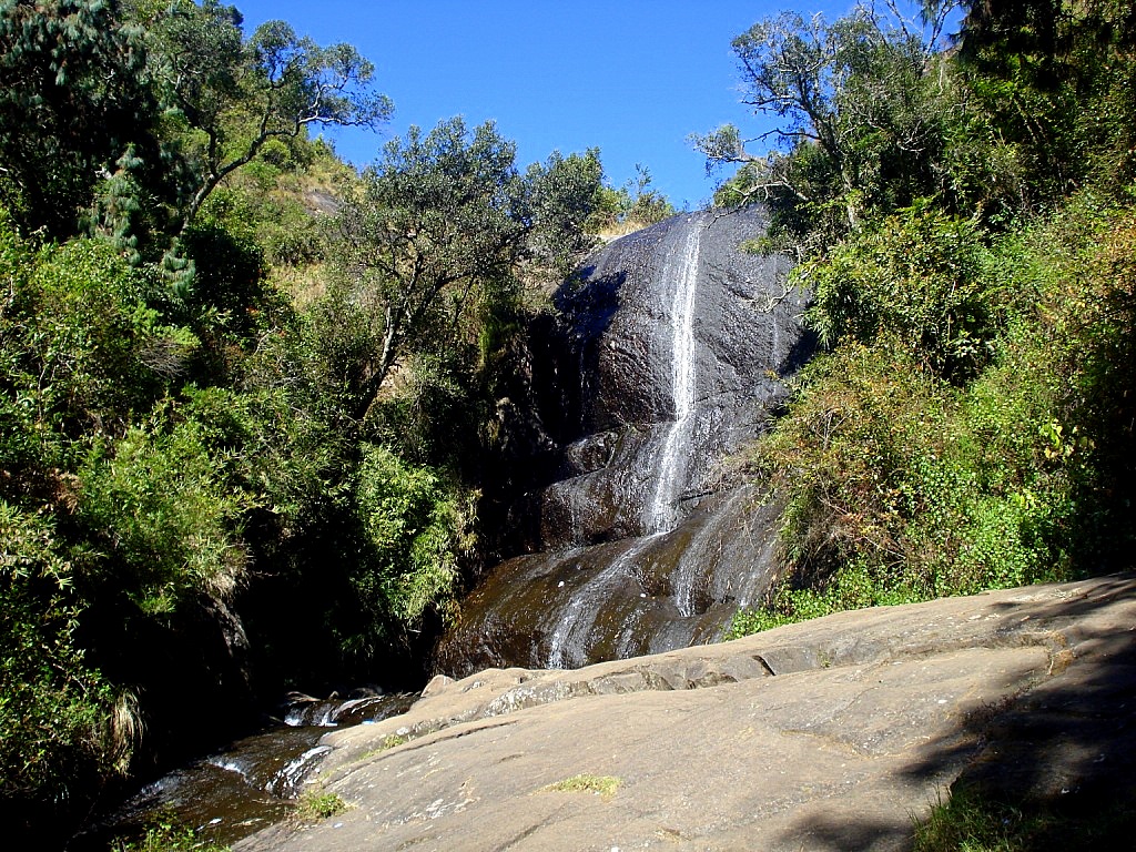 Image BearSholaFalls,Kodaikanal