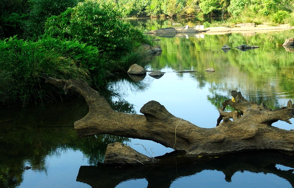 Image Kuruva Island