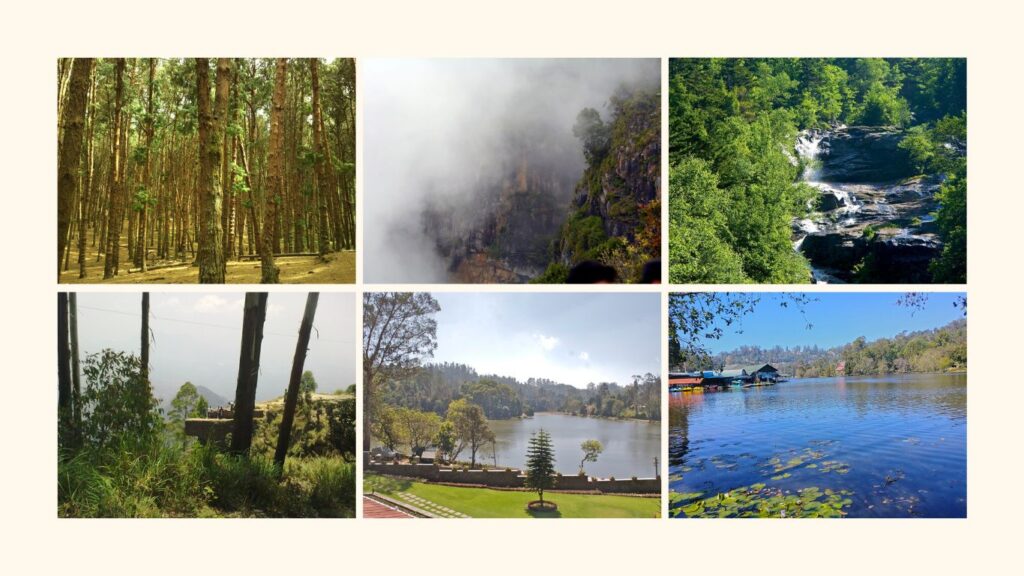 Top 10 Best Places to Visit in Kodaikanal